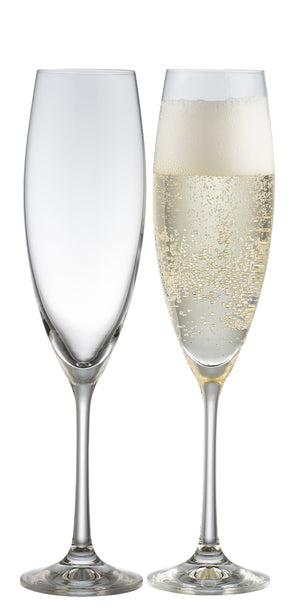 Elegance Champagne/ Prosecco Glass Pair