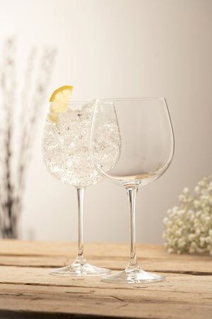 Elegance Gin & Tonic Glass Pair