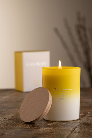 Lime & Vetiver Wooden Lid Jar Candle - Large