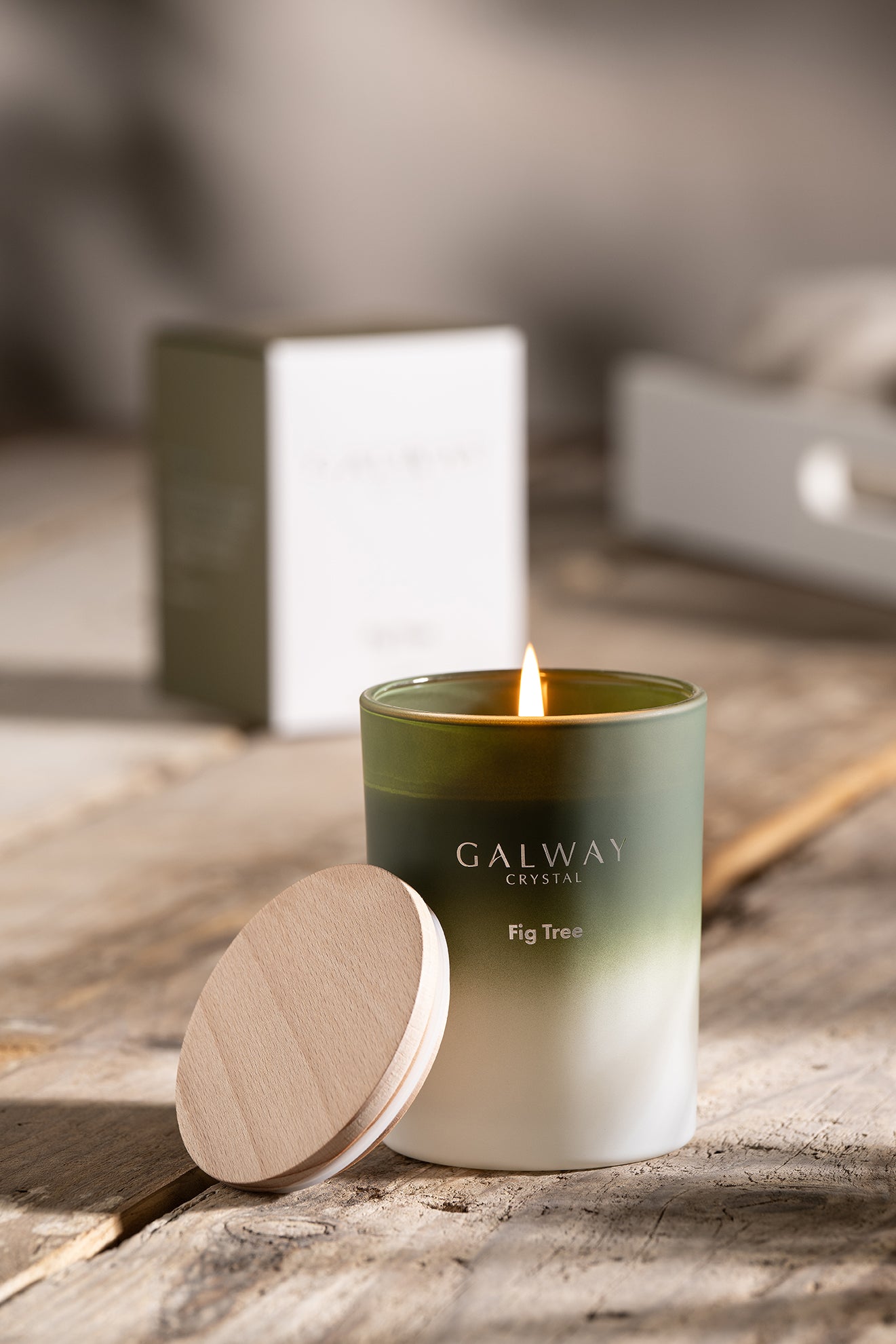 Fig Tree Candle
