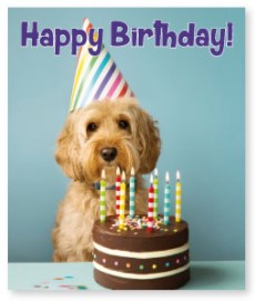 Greeting Card - Galway Irish Crystal