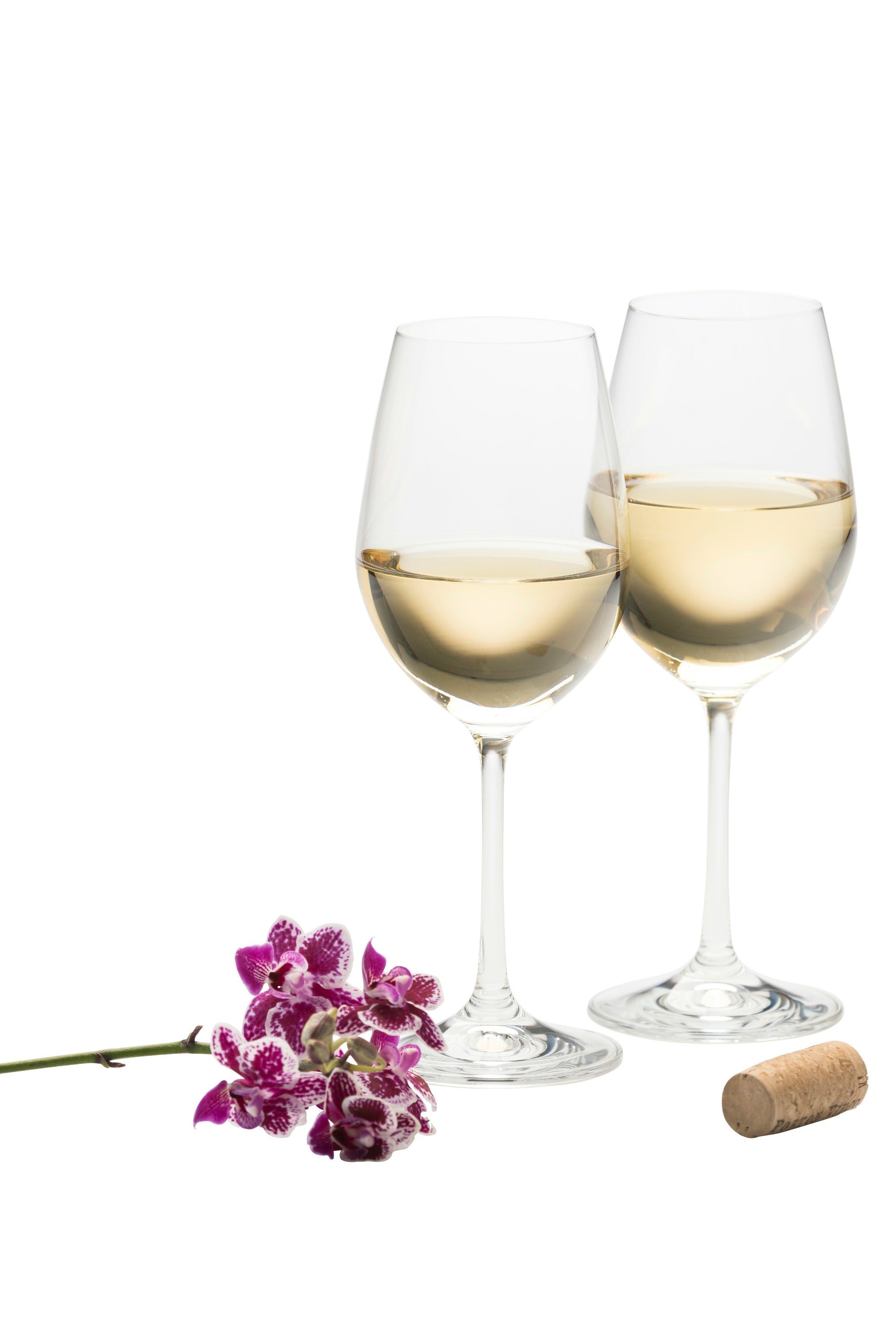 Glassware Offers