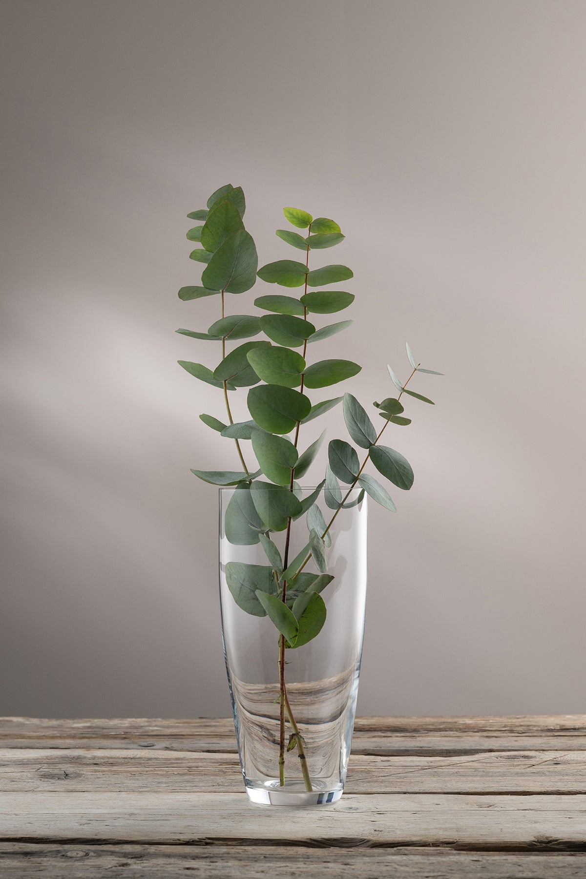 Nua 10" Vase