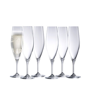 Cheers Champagne / Prosecco Flutes Set of 6