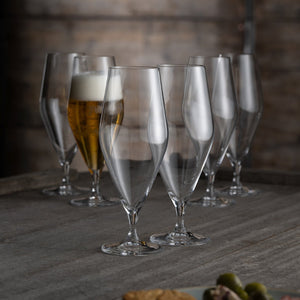 Cheers Craft Beer Set of 6