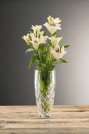 Renmore 12" Vase