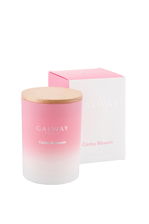 Cactus Blossom Candle
