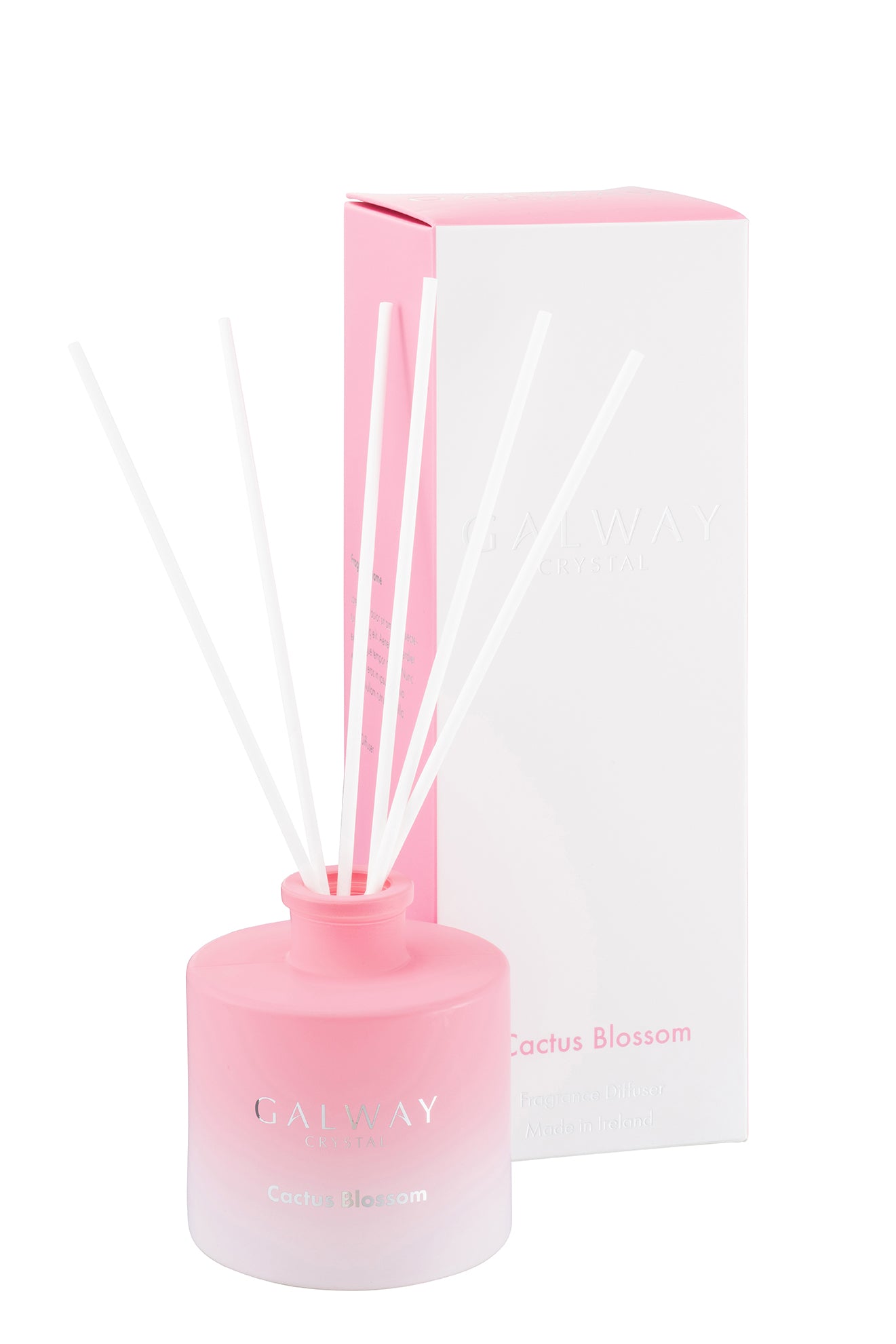 Cactus Blossom Diffuser