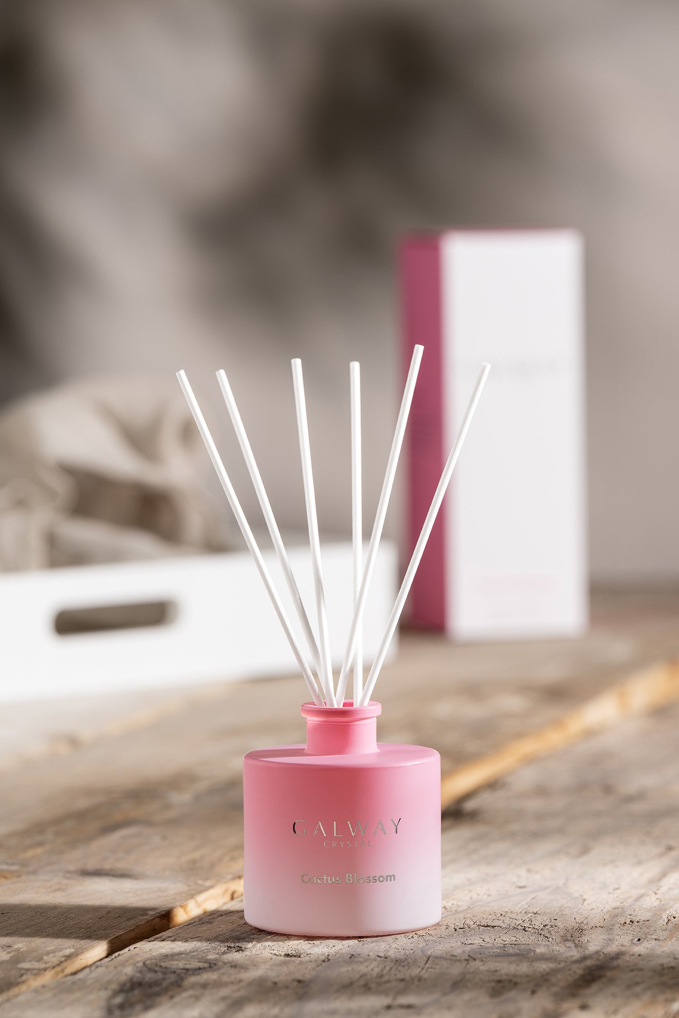 Cactus Blossom Diffuser