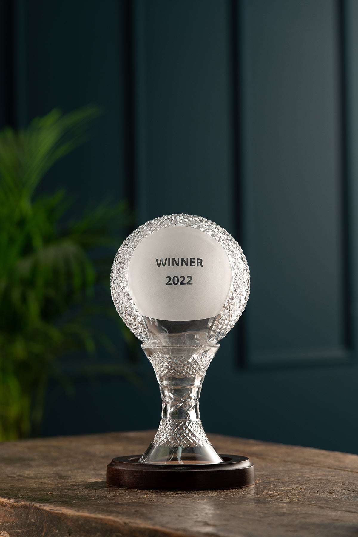 Engraved 6" Sliothar Trophy