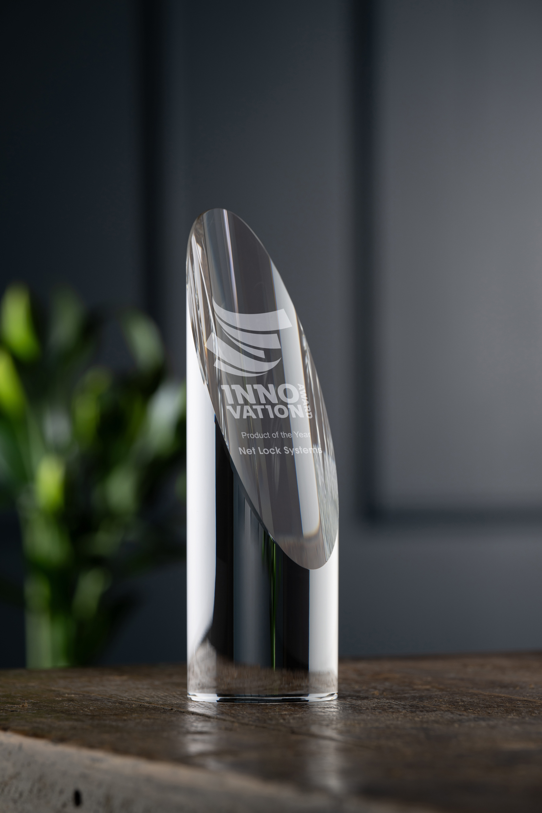 Ellipse Crystal Trophy Engraved