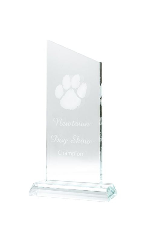 Engraved Large Diagonal Trophy
