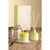 Wild Pear & Freesia Gift Set - Galway Irish Crystal