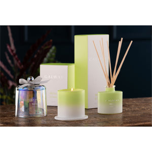 Wild Pear & Freesia Diffuser - Galway Irish Crystal