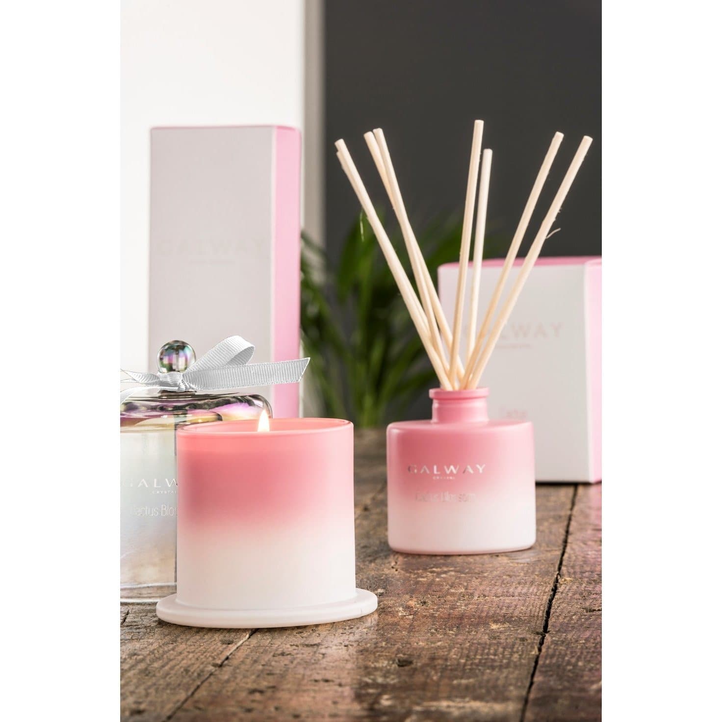 Cactus Blossom Bell Jar Candle - Galway Irish Crystal
