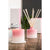Cactus Blossom Bell Jar Candle - Galway Irish Crystal